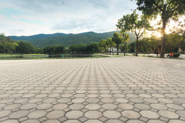 Best Driveway Pavers Contractor  in Denton, TX